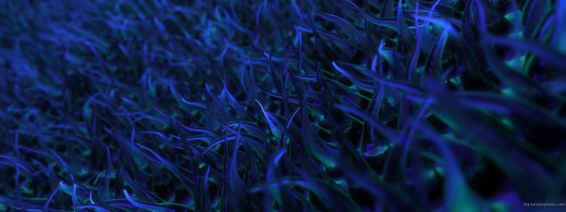 436661 (a): :3200x1200